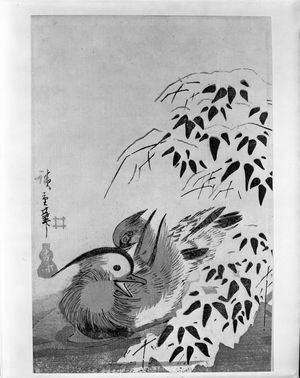 Ando Hiroshige, 歌川広重 (Andô Hiroshige)による浮世絵「MANDARIN DUCKS AND SNOW-LADEN BAMBOO」