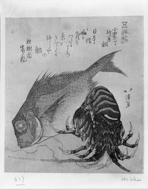 魚屋北渓: Tai Fish (Sea Bream) and Crawfish Representing the Yanagiyadai Restaurant, Odaharacho, from the series Noted Products of Edo (Edo Meibutsu), Edo period, circa early 19th century - ハーバード大学