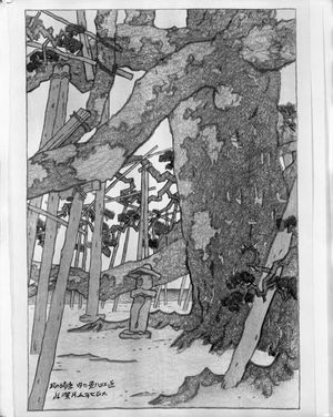伊東深水: Pine at Karasaki, from the series Eight Views of Lake Biwa (ômi hakkei), Taishô period, dated 1918 - ハーバード大学