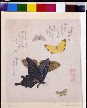 Kubo Shunman: Two Large and Three Small Butterflies with text beginning 