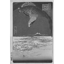 歌川広重: Fukagawa Susaki and Jûmantsubo (Fukagawa Susaki Jûmantsubo), Number 107 from the series One Hundred Famous Views of Edo (Meisho Edo hyakkei), Edo period, dated 1857 (5th month) - ハーバード大学