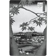 歌川広重: Maple Trees at Mama, Tekona Shrine and Linked Bridge (Mama no momiji Tekona no yashiro Tsugihashi), Number 94 from the series One Hundred Famous Views of Edo (Meisho Edo hyakkei), Edo period, dated 1857 (1st month) - ハーバード大学