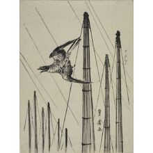 Utagawa Toyohiro: FLYING CUCKOO AMONG BOAT MASTS - Harvard Art Museum