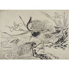 奥村政信: Mandarin Ducks and Iris, Mid Edo period, early 18th century - ハーバード大学