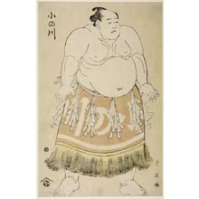 Katsukawa Shun'ei: Wrestler Onogawa - Harvard Art Museum