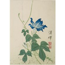 Yokoyama Seiki: MORNING GLORY, ASAGAO - Harvard Art Museum