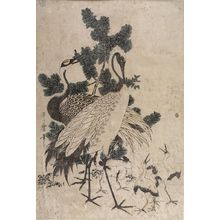 Kitagawa Utamaro: PAIR OF CRANES - Harvard Art Museum