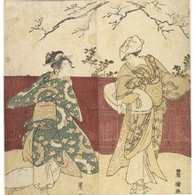 Utagawa Toyokuni I: Actor Segawa Kikunojô 3rd as a Female Traveler - Harvard Art Museum