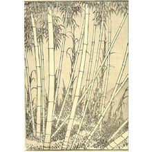 葛飾北斎: Fuji in a Bamboo Grove (Chikurin no Fuji): Half of detatched page from One Hundred Views of Mount Fuji (Fugaku hyakkei) Vol. 2, Edo period, 1835 (Tempô 6) - ハーバード大学