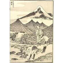 Katsushika Hokusai: The Farmland of Fuji in Kai Province (Kai no Fuji nô-otoko): Detatched page from One Hundred Views of Mount Fuji (Fugaku hyakkei) Vol. 3, Edo period, circa 1835-1847 - Harvard Art Museum