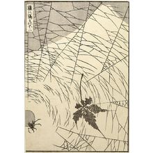 葛飾北斎: Fuji through a Web (Ami ni hedataru Fuji): Detatched page from One Hundred Views of Mount Fuji (Fugaku hyakkei) Vol. 3, Edo period, circa 1835-1847 - ハーバード大学