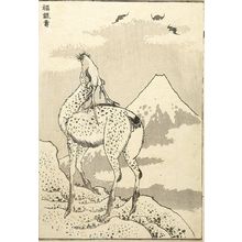 葛飾北斎: Fukurokuju (Fukurokuju): Detatched page from One Hundred Views of Mount Fuji (Fugaku hyakkei) Vol. 3, Edo period, circa 1835-1847 - ハーバード大学