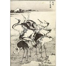 Katsushika Hokusai: Fujimigahara in Owari Province (Bishû Fujimigahara): Detatched page from One Hundred Views of Mount Fuji (Fugaku hyakkei) Vol. 1, Edo period, 1834 (Tempô 5) - Harvard Art Museum