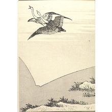 Katsushika Hokusai: Fuji on the Face of a Paddy (Tanomo no Fuji): Detatched page from One Hundred Views of Mount Fuji (Fugaku hyakkei) Vol. 1, Edo period, 1834 (Tempô 5) - Harvard Art Museum