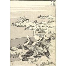 Katsushika Hokusai: Fuji on the Face of a Paddy (Tanomo no Fuji): Detatched page from One Hundred Views of Mount Fuji (Fugaku hyakkei) Vol. 1, Edo period, 1834 (Tempô 5) - Harvard Art Museum