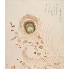 窪俊満: Peacock Feather and Plum Blossoms, with poem by Onoya Kuwayumi, Edo period, circa early 19th century - ハーバード大学