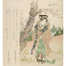 Kubo Shunman: Young Woman Beneath Plum Tree, with poems by Shokutoen Jobun and an associate, Edo period, circa early 19th century - Harvard Art Museum