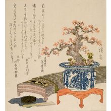 渓斉英泉: Koto and Plum Tree - ハーバード大学