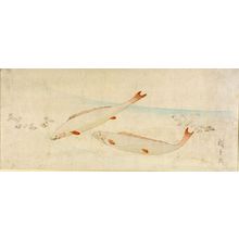 Utagawa Hiroshige: Swimming Trout - Harvard Art Museum