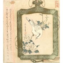 Hakuki: SIC PICTURES OF BIRDS AND FLOWERS,