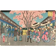 歌川広重: YEDO MEISHO, CHERRY BLOSSOMS OF NAKANOCHO, SHIN YOSHIWARA, Late Edo period, 1856 - ハーバード大学