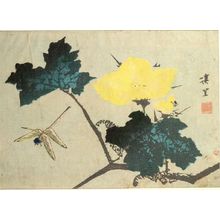 Keiri: BIRDS AND FLOWERS.DRAGONFLY AND YELLOW MORNING GLO RY., Late Edo period, dated 1840 - Harvard Art Museum