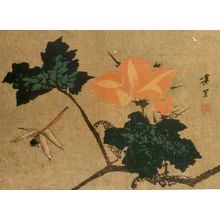 Keiri: BIRDS AND FLOWERS,DRAGONFLY AND PINK MORNING GLORY, Late Edo period, dated 1840 - ハーバード大学