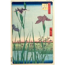 歌川広重: Horikiri Iris Garden (Horikiri no hanashôbu), Number 64 from the series One Hundred Famous Views of Edo (Meisho Edo hyakkei), Edo period, dated 1857 (5th month) - ハーバード大学