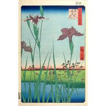 歌川広重: Horikiri Iris Garden (Horikiri no hanashôbu), Number 64 from the series One Hundred Famous Views of Edo (Meisho Edo hyakkei), Edo period, dated 1857 (5th month) - ハーバード大学