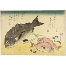 歌川広重: Black Seabream (Kurodai), Small Seabream (Kodai) and Japanese Peppercorns (Sansho), from the series A Shoal of Fishes (Uo-zukushi), Late Edo period, 19th century - ハーバード大学