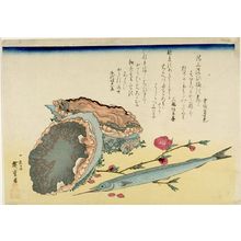 歌川広重: Abalone (Awabi), Halfbeak (Sayori) and Peach (Momo), from the series A Shoal of Fishes (Uo-zukushi) - ハーバード大学
