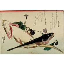 歌川広重: Flathead (Kochi) and Eggplants (Nasubi), from the series A Shoal of Fishes (Uo-zukushi) - ハーバード大学