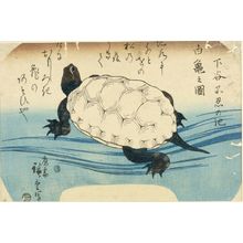 Ando Hiroshige, 歌川広重 (Andô Hiroshige)による浮世絵「A WHITE TURTLE AT SHINOBA LAKE」