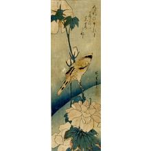 Utagawa Hiroshige: BIRD AND A FLOWERING PEONY, Late Edo period, dated 1830 - Harvard Art Museum