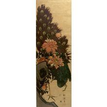 Hicho: PEACOCK AND PEONIES - Harvard Art Museum