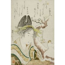 葛飾北斎: Woman and Snow Cock, with poems by Yomo no Utagaki (Magao) and an associate, Edo period, 1801 - ハーバード大学