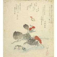 Katsushika Hokusai: Two Crabs by Stream, with poems by Bunshôsha Ashichika, Fumi no Kaname, Bunryûdô Wasui and Bunbunsha, Edo period, - Harvard Art Museum