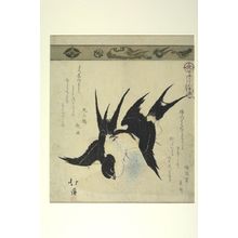 Totoya Hokkei: Pair of Swallows, from the series A Collection of Thirty-Six Birds and Animals (Sanjûroku tori zukushi), Edo period, circa 1825 - Harvard Art Museum