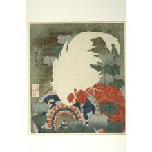 Totoya Hokkei: WHITE COCK STANDING ON A DRUM - Harvard Art Museum