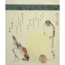 魚屋北渓: Sparrows, Basket and Pine Cone, from the series A Collection of Thirty-Six Birds and Animals (Sanjûroku tori zukushi), Edo period, circa 1825 - ハーバード大学