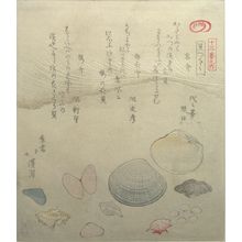 魚屋北渓: Wasuregai, Baikagai and Sakuragai Shells, from the series A Set of Shells (Kaizukushi), Edo period, 1821 - ハーバード大学