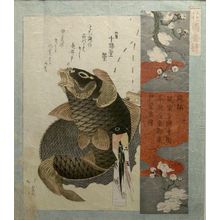 Totoya Hokkei: White Plum Blossom and Carp, from the series Flower Gardens (Hanazono Bansuzuki), Edo period, dated 1823 - Harvard Art Museum