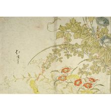 Totoya Hokkei: Autumn Flowers - Harvard Art Museum