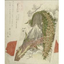 魚屋北渓: Congratulatory Painting of a Peacock and Red Rug, issued by the Shigura Club - ハーバード大学