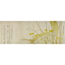 Katsushika Hokusai: Omodaka Flowers, with poems by Tôjûrô, Fujii Kamejirô and Royu (?) seventy-five years old, Edo period, circa 1795-1798 - Harvard Art Museum