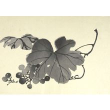 日本版画 "Grapes and Leaves" 由 Unknown, 無款 (null) 创作