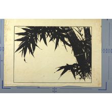 Unknown: Bamboo - Harvard Art Museum