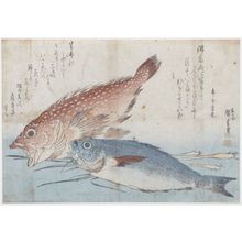 Utagawa Hiroshige: Two Fish - Harvard Art Museum