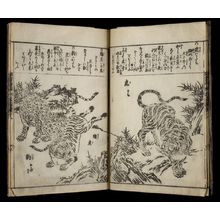 Estampe japonaise "PRINTED BOOK" par Unknown, 無款 (null)