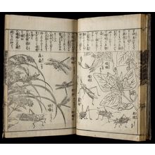 Estampe japonaise "PRINTED BOOK" par Unknown, 無款 (null)